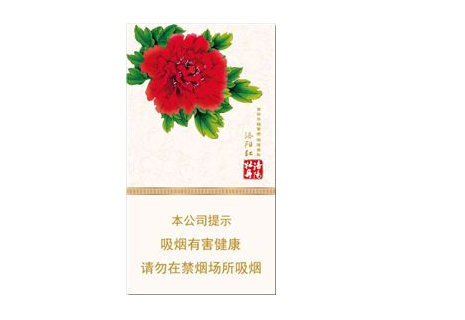 真龙香烟货源